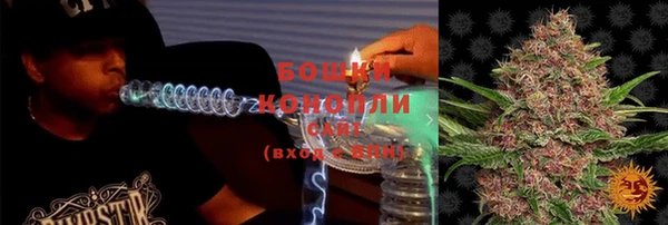 дмт Новозыбков