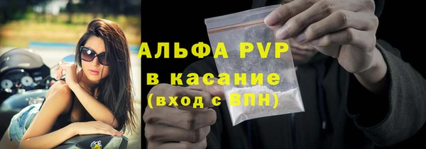 дмт Нея