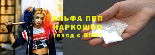 прущие грибы Нефтегорск