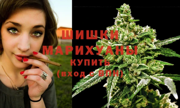 мдма Новодвинск