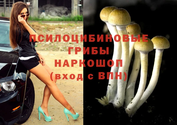 мдма Нефтекумск