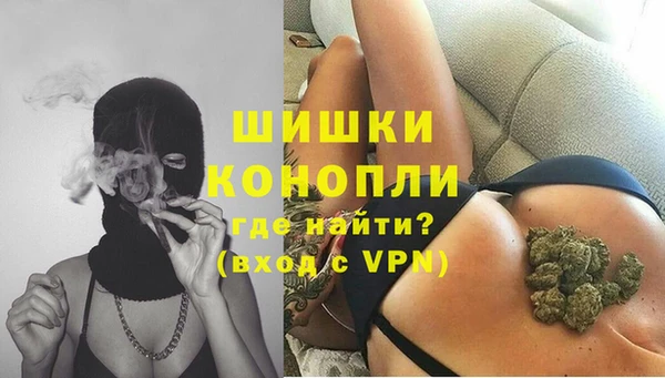 дмт Нея