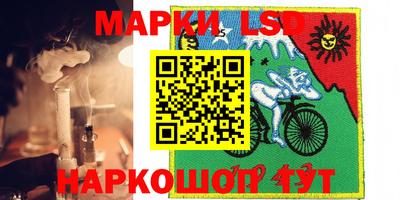 прущие грибы Апшеронск