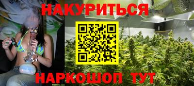 прущие грибы Апшеронск