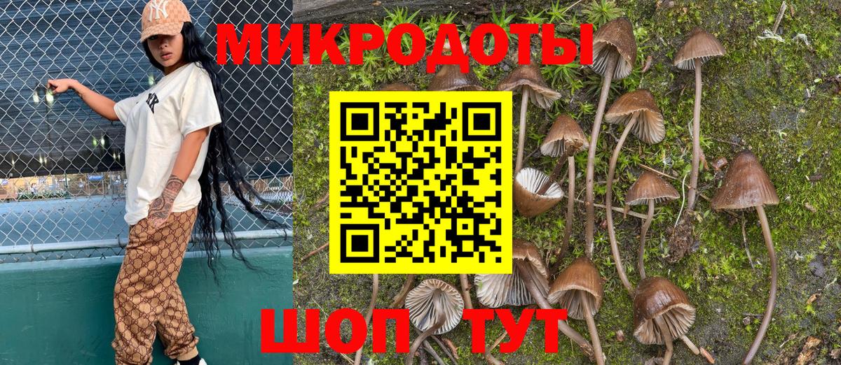 Псилоцибиновые грибы прущие грибы  Карталы  Псилоцибиновые грибы мицелий 