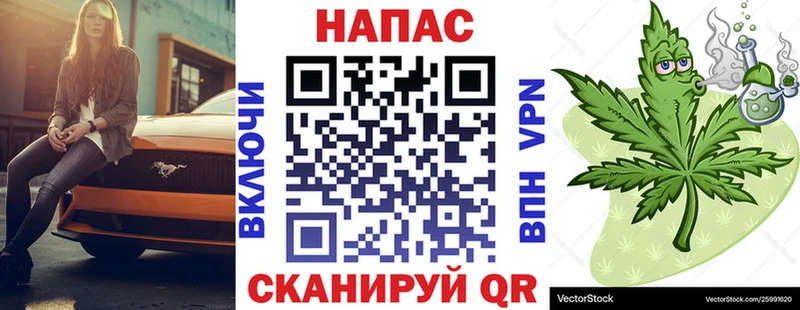 где купить наркоту  Карталы  Бошки марихуана сатива 